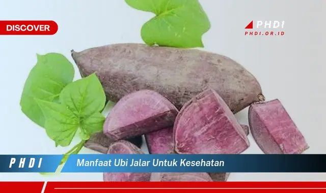 manfaat ubi jalar untuk kesehatan