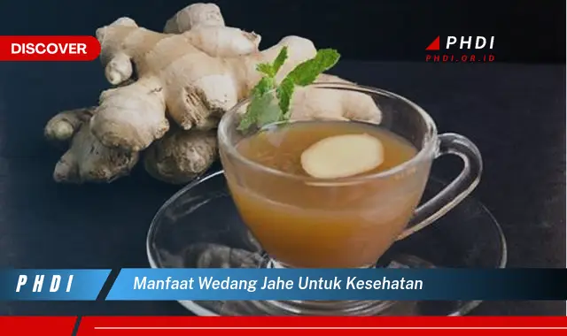 manfaat wedang jahe untuk kesehatan