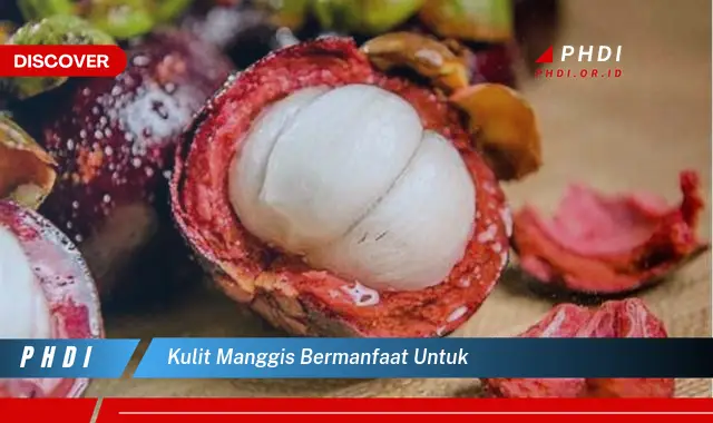 kulit manggis bermanfaat untuk