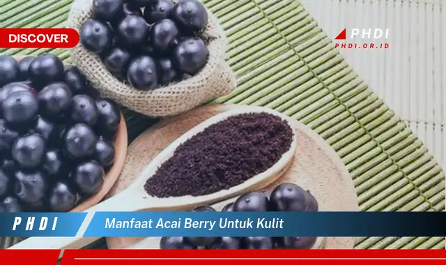 manfaat acai berry untuk kulit