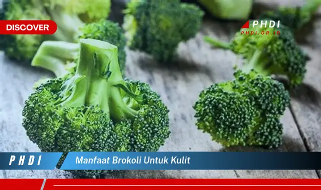 manfaat brokoli untuk kulit