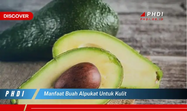 manfaat buah alpukat untuk kulit