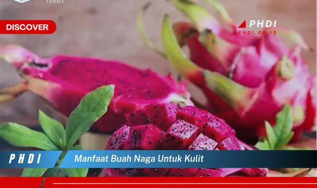 manfaat buah naga untuk kulit