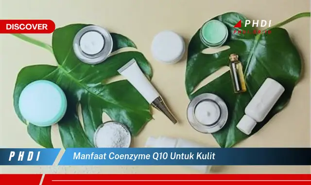 manfaat coenzyme q10 untuk kulit