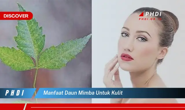 manfaat daun mimba untuk kulit