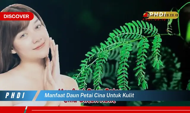 manfaat daun petai cina untuk kulit