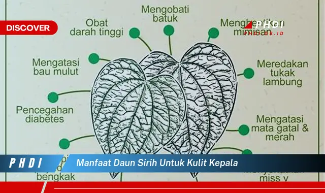 manfaat daun sirih untuk kulit kepala