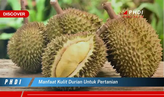 manfaat kulit durian untuk pertanian