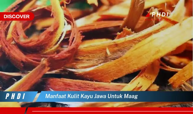 manfaat kulit kayu jawa untuk maag