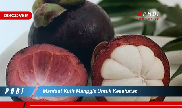 manfaat kulit manggis untuk kesehatan