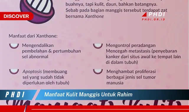 manfaat kulit manggis untuk rahim