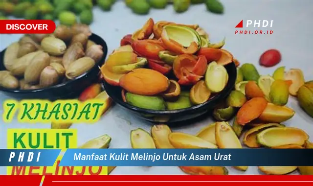 manfaat kulit melinjo untuk asam urat