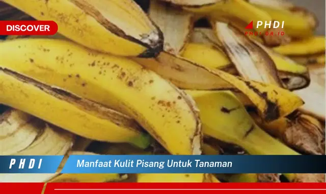 manfaat kulit pisang untuk tanaman