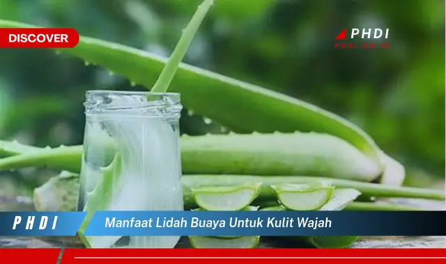 manfaat lidah buaya untuk kulit wajah