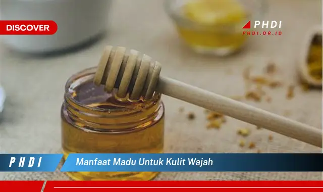 manfaat madu untuk kulit wajah