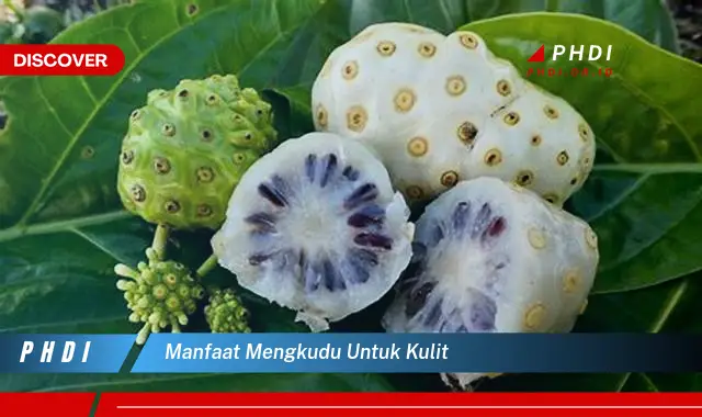 manfaat mengkudu untuk kulit