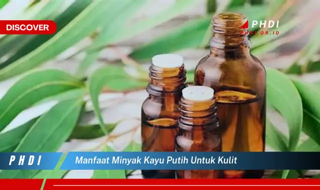 manfaat minyak kayu putih untuk kulit