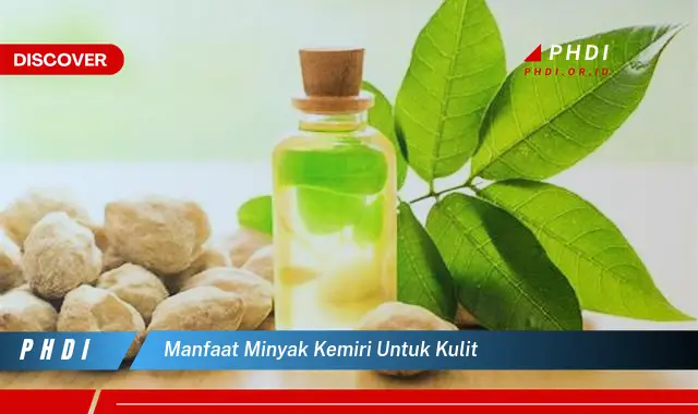 Temukan 5 Manfaat Minyak Kemiri untuk Kulit yang Jarang Diketahui