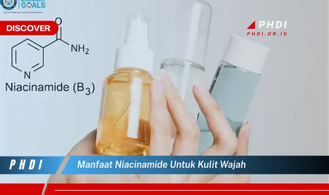 manfaat niacinamide untuk kulit wajah