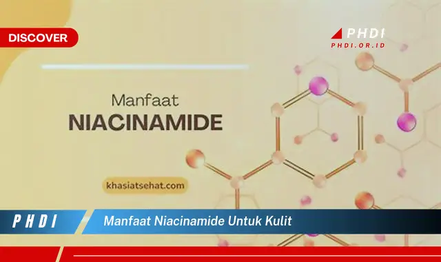 manfaat niacinamide untuk kulit