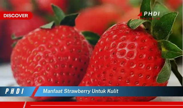 manfaat strawberry untuk kulit