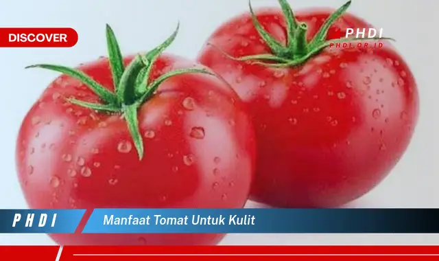 manfaat tomat untuk kulit