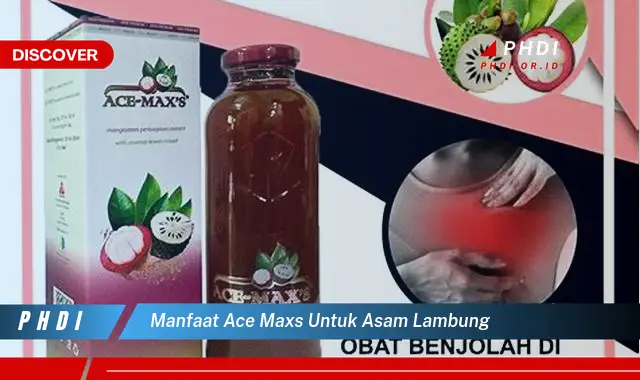 manfaat ace maxs untuk asam lambung