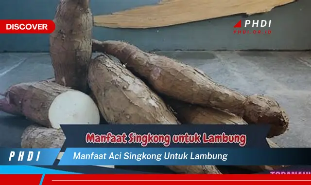 manfaat aci singkong untuk lambung