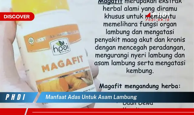 manfaat adas untuk asam lambung