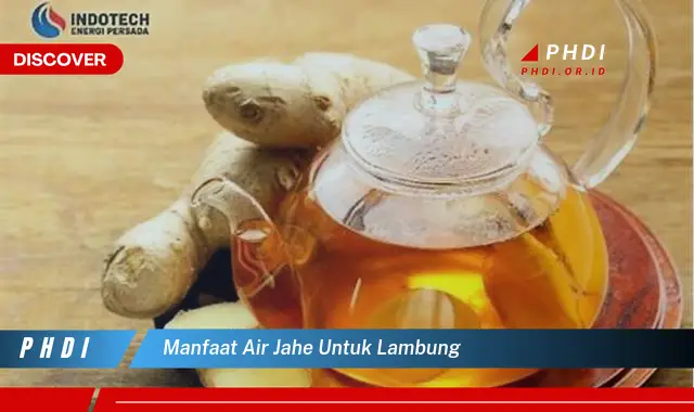 manfaat air jahe untuk lambung