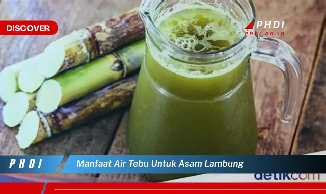 manfaat air tebu untuk asam lambung