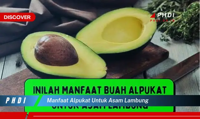 manfaat alpukat untuk asam lambung