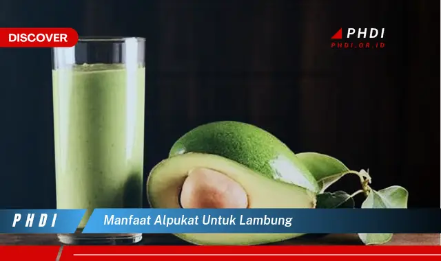 manfaat alpukat untuk lambung