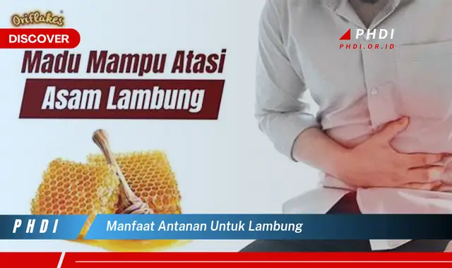 manfaat antanan untuk lambung