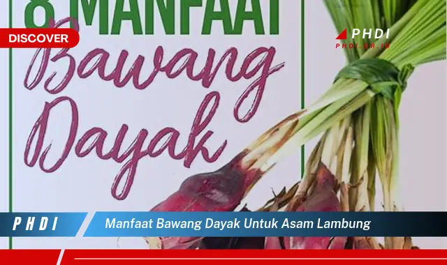 manfaat bawang dayak untuk asam lambung