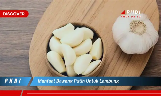 manfaat bawang putih untuk lambung