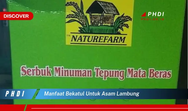 manfaat bekatul untuk asam lambung