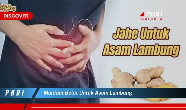 manfaat belut untuk asam lambung