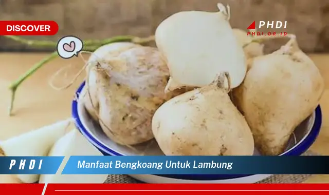 manfaat bengkoang untuk lambung