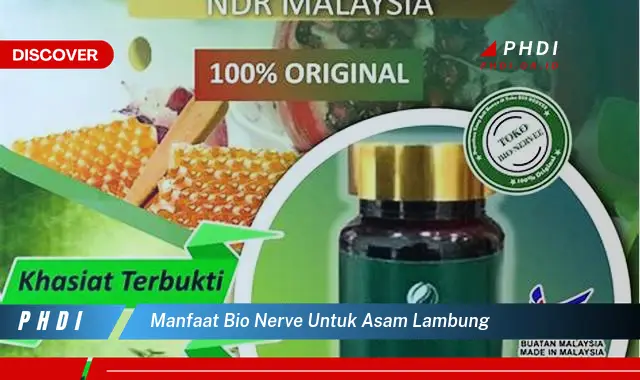 manfaat bio nerve untuk asam lambung