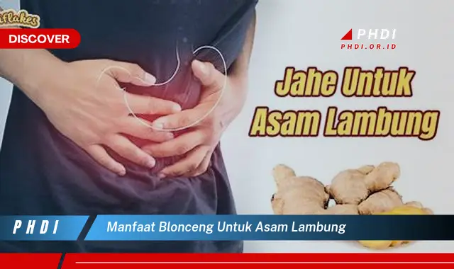 manfaat blonceng untuk asam lambung