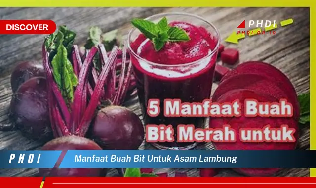 manfaat buah bit untuk asam lambung