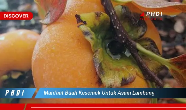 manfaat buah kesemek untuk asam lambung