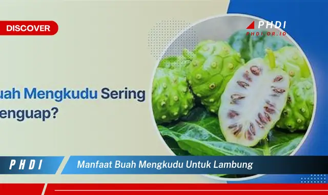 manfaat buah mengkudu untuk lambung