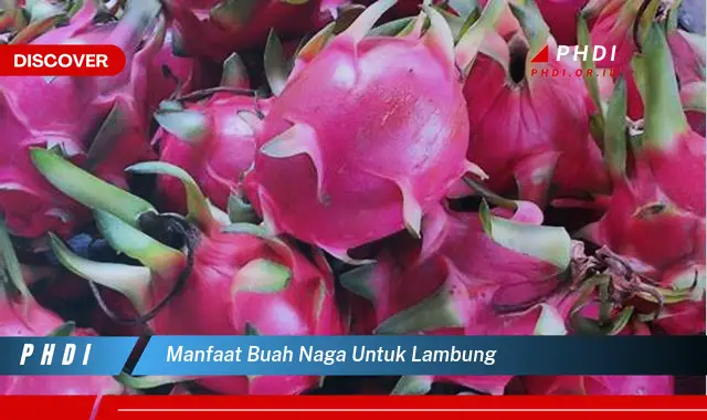 manfaat buah naga untuk lambung