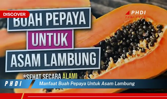 manfaat buah pepaya untuk asam lambung