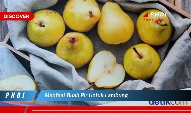 manfaat buah pir untuk lambung