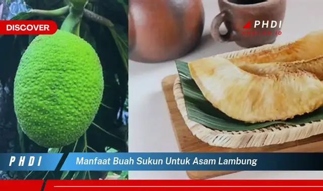 manfaat buah sukun untuk asam lambung