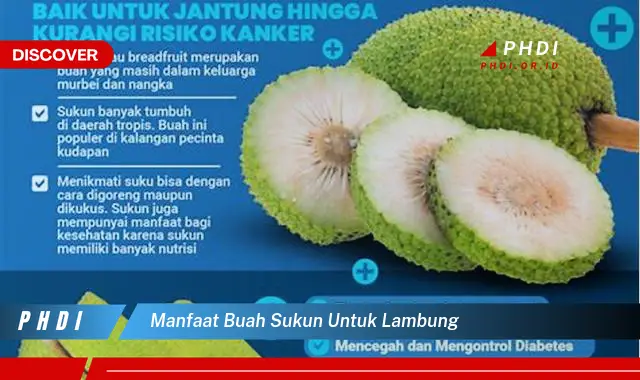 manfaat buah sukun untuk lambung