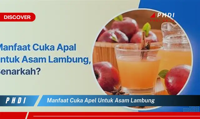 manfaat cuka apel untuk asam lambung